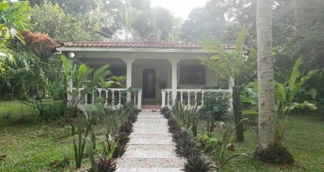 Hostal Cecilia Puerto Viejo de Talamanca Zewnętrze zdjęcie