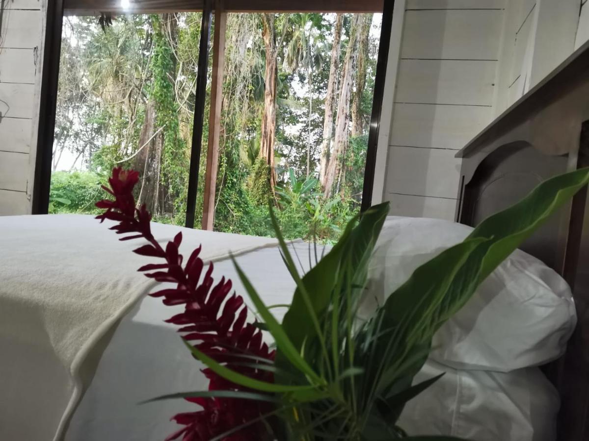 Hostal Cecilia Puerto Viejo de Talamanca Zewnętrze zdjęcie