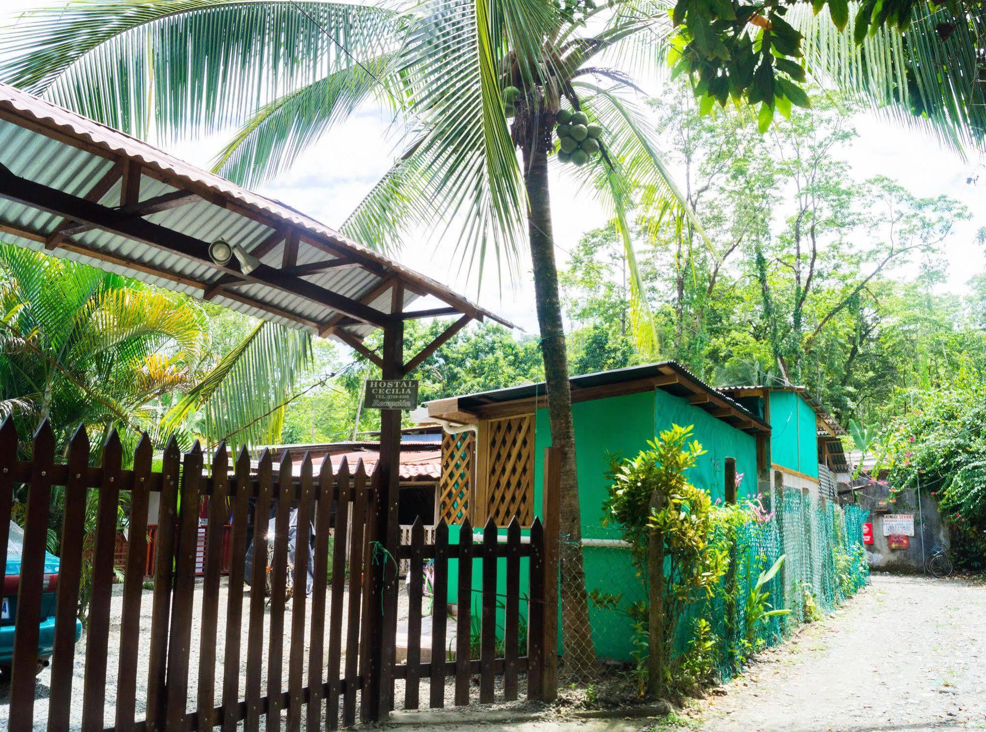 Hostal Cecilia Puerto Viejo de Talamanca Zewnętrze zdjęcie