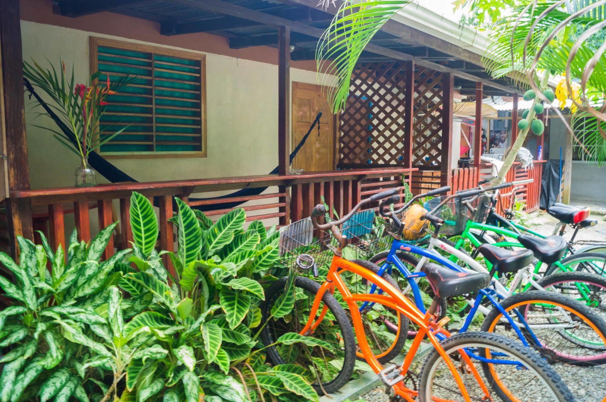 Hostal Cecilia Puerto Viejo de Talamanca Zewnętrze zdjęcie