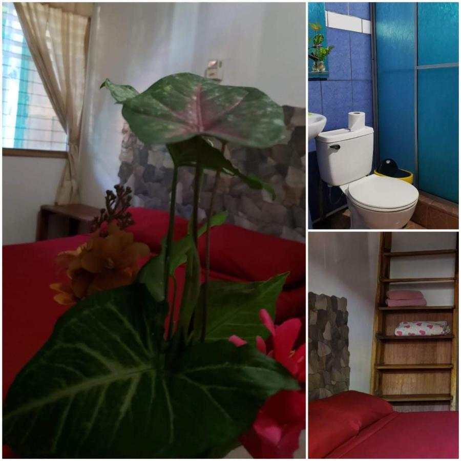Hostal Cecilia Puerto Viejo de Talamanca Zewnętrze zdjęcie